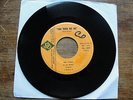Northern Soul 45 The Turks You Turn Me On Rare Sweet Soul DARAN HEAR