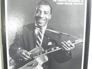 T Bone Walker-Complete Recordings 1940-1954-Rare Mosaic Blues 9 LP Set-Near Mint