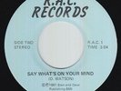 Modern Soul 45 - D. Watson - Say What's On Your Mind - R.A.C. - VG++ mp3 rare