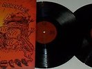 LP SIENA ROOT A New Day Dawning (2LP) Root Rock Records RRR002 - STILL SEALED