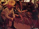 Fishbone 