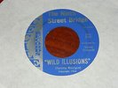THE NINTH STREET BRIDGE wild illusions KILLER FUZZ ACID PUNKADELIC GARAGE HEAR