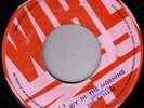 THE GAYLADS/SKINHEAD REGGAE/WIRL Orig JA 45/SHE WANT IT - JOY IN THE MORNING
