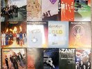 Lynyrd Skynyrd & Related, 16 Vinyl Record Lot, 12 LP, 2 DLP, 2 Singles, Van Zant