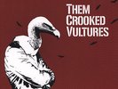 Them Crooked Vultures - Them Crooked Vultures Vinyl US 2LP