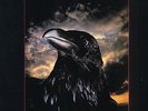Stranglers The Raven UK vinyl LP album record UAG30262 UNITED ARTISTS 1979