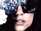 Lady Gaga-The Fame Vinyl / 12