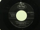 BOBBY CHRISTIAN The Spider And the Fly WING hear soundclip GARAGE/PSYCH