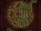 THE DEVIL'S BLOOD - The Time of No Time Evermore  DLP VINYL