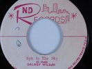 Reggae 45 DELROY WILSON Spit in the Sky ND HEAR