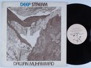 DAWAN MUHAMMAD Deep Stream EVIDENCE ARTISTIC LP private spiritual jazz HEAR