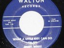 Rare 1965 Indiana Hillbilly Bopper WALTON 010 45 Jimmy Walls WHAT A LITTLE KISS