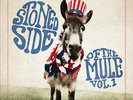 RARE rolling stoned side of the GOV'T MULE vol 1 RSD Black Friday 2014 LP stones
