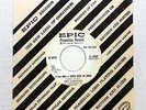 DANLEERS Doo Wop 45 I Live Half a Block From an Angel EPIC 1st Press PROMO #A217