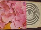 Still Life S/T  1st UK 1971 Vertigo Press. MONSTER Prog Psych. NM LP 