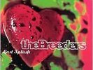 Last Splash - Breeders - LP VINYL - One Day Dispatch