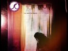 Lost in the Dream by The War on Drugs ( Purple Colored Vinyl, Secretly Canadian)
