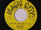 MAD DOG & PUPS: Why Did You Leave Me Girl / Instro 45 rare Soul