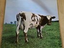 Pink Floyd Atom Heart Mother Vinyl Lp Harvest SHVL 781 1970 Progressive Rock