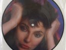 Kate Bush, The Big Sky, NEW/MINT Ltd edition PICTURE DISC 7 inch vinyl single