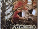 SPITALFIELD - Stop Doing Bad Things - LP GOLD Vinyl MINT 2001 RTB003 rare S-365