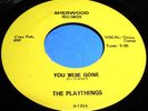 THE PLAYTHINGS You Were Gone 45 Rare North Carolina Garage Sherwood NM Listen