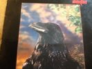 THE STRANGLERS.  THE RAVEN 3D COVER
