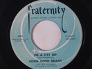 ROBIN HOOD BRIANS: Dis A Itty Bit / Without You 45 rare Rockabilly