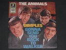 7-Single-Beat-THE ANIMALS-Dimples -Fehlpressung Cover-Wurde nicht bezahlt 