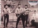 LOS SAICOS DEMOLICION  MUNSTER RECORDS LP VINYLE NEUF