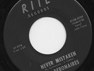 THE DEBONAIRES never mistaken*summertime 1966 US RITE GARAGE PUNK 45
