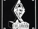 DISQUE 33T EVIL SKINS 1987 UNE FORCE UNE CAUSE UN COMBAT