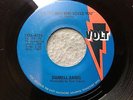 45 RPM Darrell Banks 