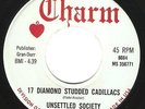 Psych Garage 45 UNSETTLED SOCIETY 