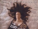 SAVA - METAMORPHOSIS