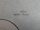 Rico & The Special AKA - Jungle Music - 12