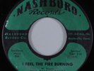 Black Gospel 45 BRIGHT STARS I Feel the Fire Burning NASHBORO HEAR