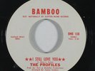 Northern Soul 45 PROFILES I Still Love You/Be Careful on Bamboo VG++/NM