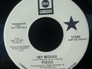 Puzzle- Hey Medusa/ Make the Children Happy 45 on ABC VG+ PSYCH PROG OG