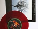 Pink floyd Take It Back Red vinyl 7
