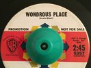 Teen Popcorn Soul 45 Joe Costa Wonderous Place on WB PROMO HEAR
