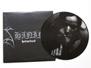 SHINING - V - Halmstad PIC-LP - lim. 495