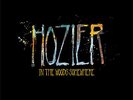 Hozier - In The Woods Somewhere - RARE Black Friday RSD - Record Store Day 2014
