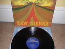 SAVOY BROWN Raw Sienna LP UK 1970 1st Press STEREO DECCA SKL 5043
