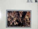Acting Trio André Maurice, Philippe Maté, Jean-Pierre Sabar 1969 Byg Original NM