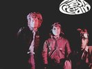 Cream - Fresh Cream