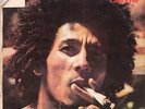 Bob Marley & The Wailers Catch A Fire Island Records Vinyl LP