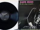 Kate Bush / On The Stage Tonight Vinyl LP
