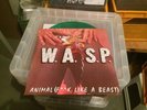 WASP.ANIMAL(F