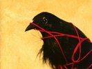 Death Cab For Cutie Transatlanticism 2x LP vinyl anniversary reissue ben gibbard